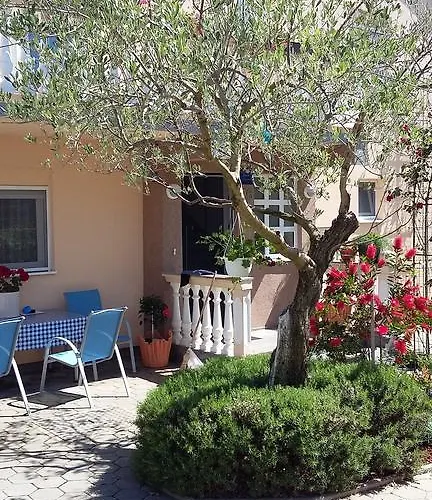 Kata ビオグラード・ナ・モル