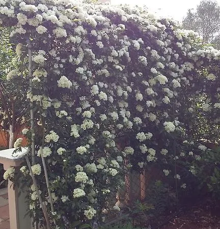 Appartamento Kata Biograd Na Moru